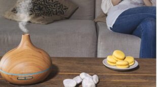 Humidificador Cecotec: el dispositivo que estabas buscando para tu hogar ahora por menos de 21 euros