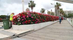 Rita Barberá será alcaldesa honoraria de Valencia y dará nombre al Puente de las Flores