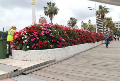 Rita Barberá será alcaldesa honoraria de Valencia y dará nombre al Puente de las Flores