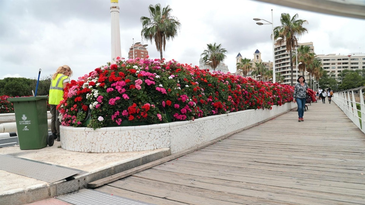 Rita Barberá será alcaldesa honoraria de Valencia y dará nombre al Puente de las Flores