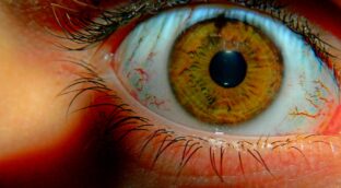 La enfermedad del poder