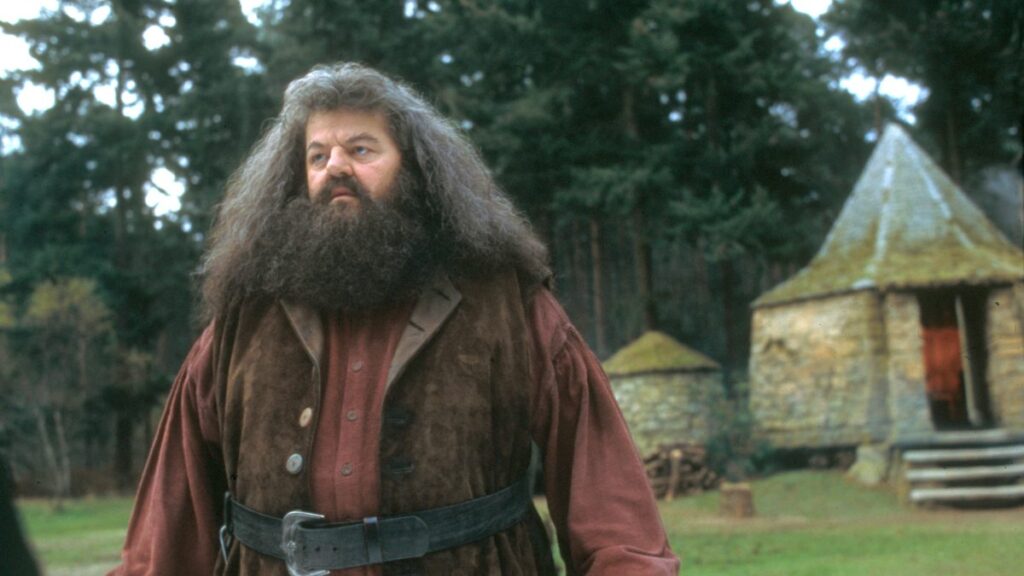 Robbie Coltran como Hagrid.