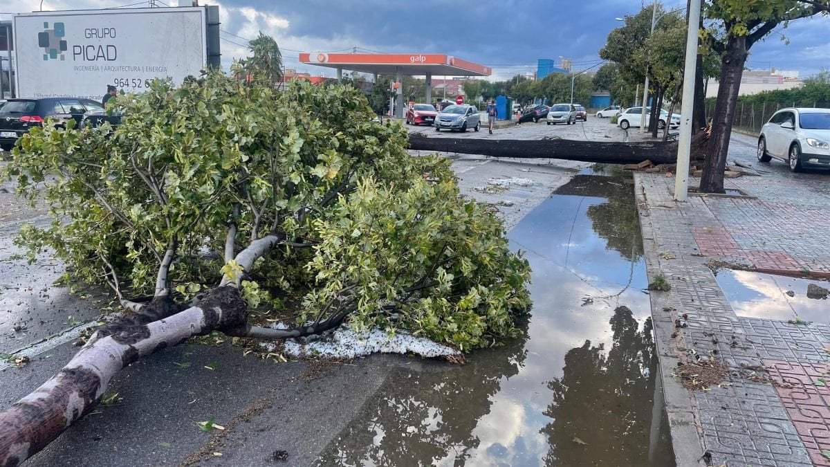 Un «reventón húmedo» se ceba con Burriana (Castellón): deja árboles arrasados y rescates