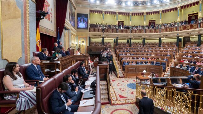 Varios exministros del PSOE protestan contra el uso de las lenguas cooficiales en el Congreso