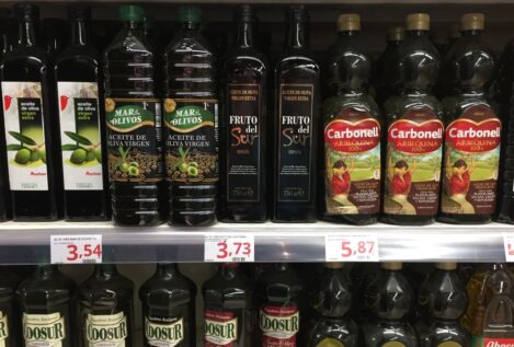 Encuesta | ¿Ha dejado de consumir aceite de oliva por la subida de precios?