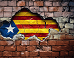 La lengua catalana como ariete contra España
