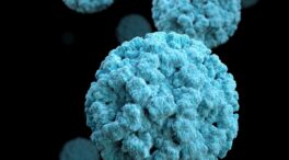 Regresa el letal virus Nipah: ¿qué peligro representa?