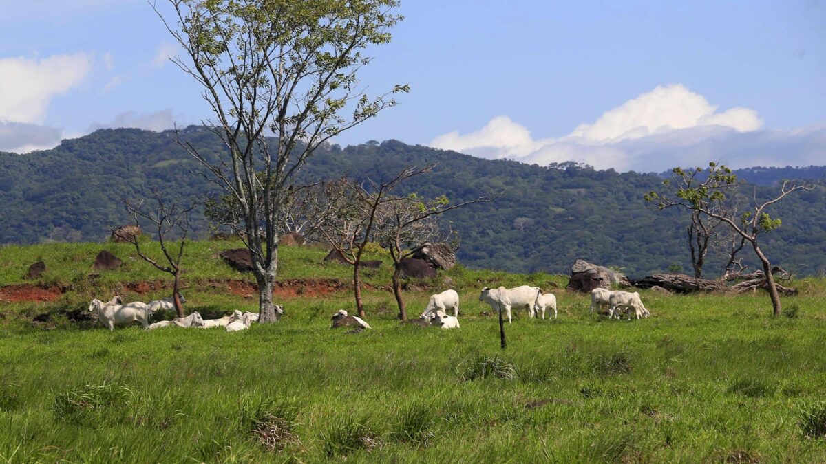 Comienza el otoño con temperaturas en aumento y cielos despejados