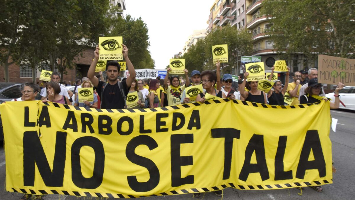 Vecinos gritan «No a la tala»