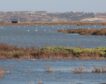 La Fiscalía investiga las extracciones de agua en el entorno de Doñana