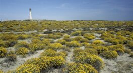 Qué ver en Almería: 11 actividades para disfrutar de la playa y la naturaleza en tu viaje