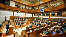 Bildu se desmarca en el Parlamento vasco de una condena a los homenajes a etarras