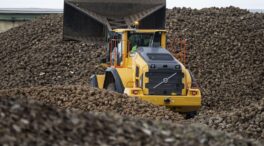 España lidera el sector de la remolacha en la UE con más de 87 toneladas