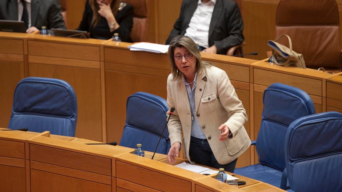 Una diputada gallega del PP vota a favor de las lenguas cooficiales en el Congreso por error