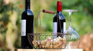 Cinco vinos para empezar a renovar el botellero