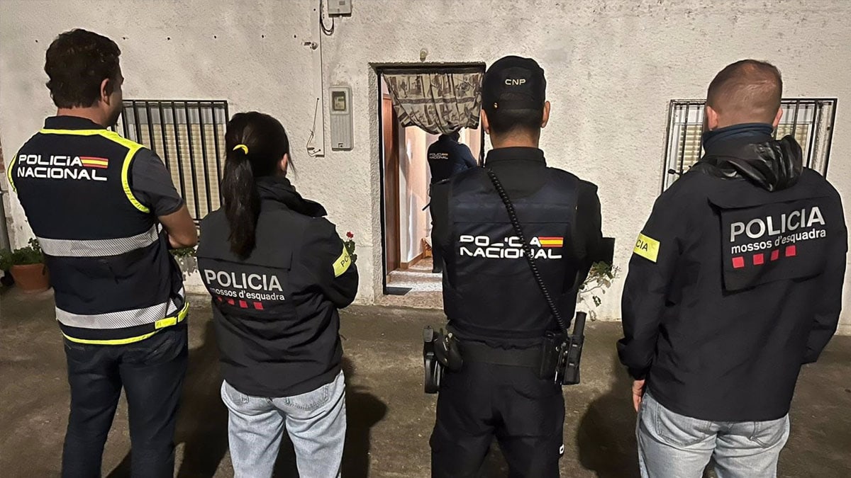 Operación policial contra una organización neonazi en varias provincias españolas