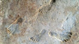 Nuevas dataciones confirman que las pisadas halladas en Nuevo México tienen 21.000 años