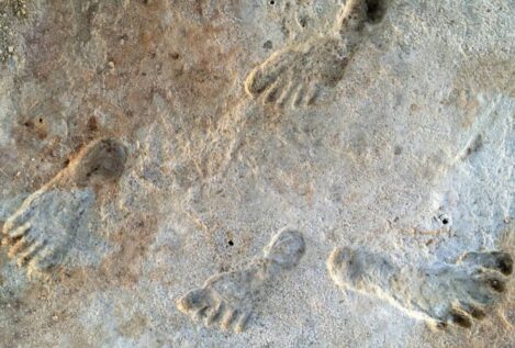 Nuevas dataciones confirman que las pisadas halladas en Nuevo México tienen 21.000 años