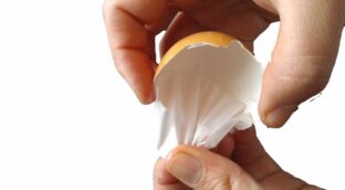 Científicos españoles usan la membrana de huevo como material de regeneración ósea