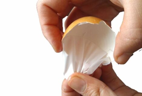 Científicos españoles usan la membrana de huevo como material de regeneración ósea