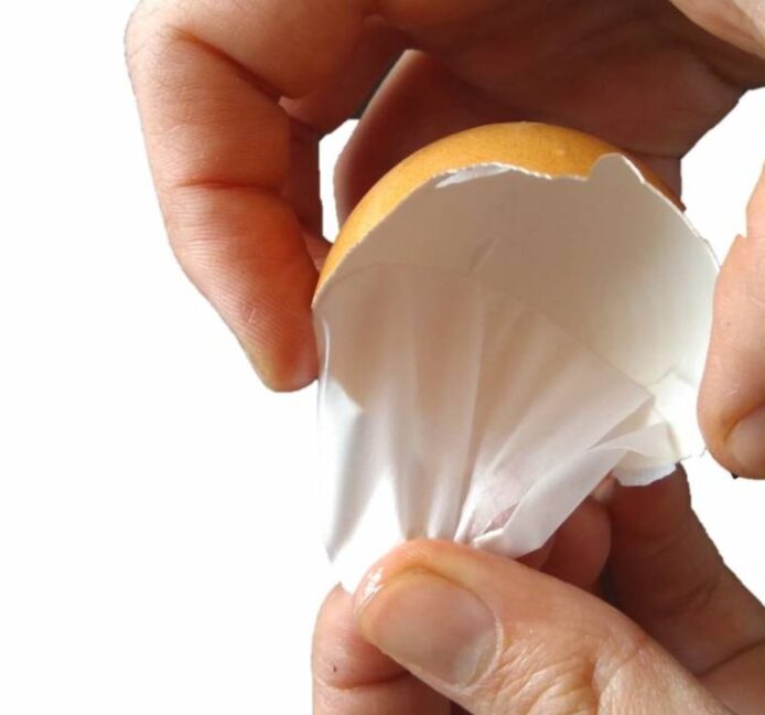 Científicos españoles usan la membrana de huevo como material de regeneración ósea