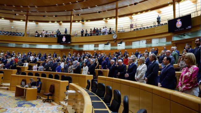 El Senado avala una moción contra la amnistía con el rechazo del PSOE por «antigua y vieja»