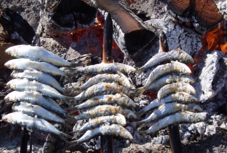 Qué comer en Málaga: saborea los auténticos espetos de sardinas a la brasa