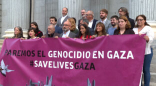 Podemos se reúne en el Congreso con representantes de la sociedad civil palestina