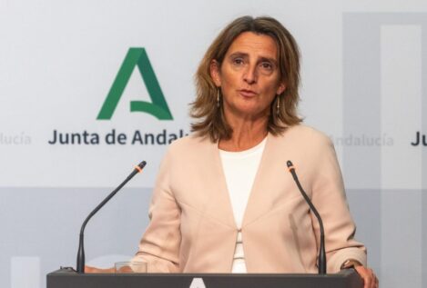 Teresa Ribera no contempla nuevos «derechos de riego» en torno a Doñana