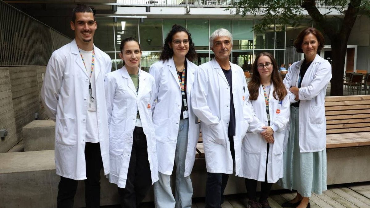 Una nueva combinación de fármacos podría ayudar en el tratamiento del cáncer