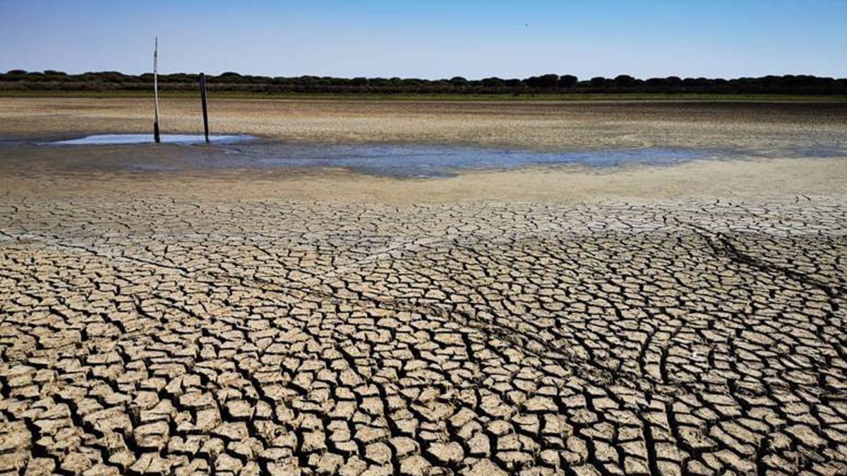 El verano de 2022, el más caluroso en España de los últimos 700 años, según científicos