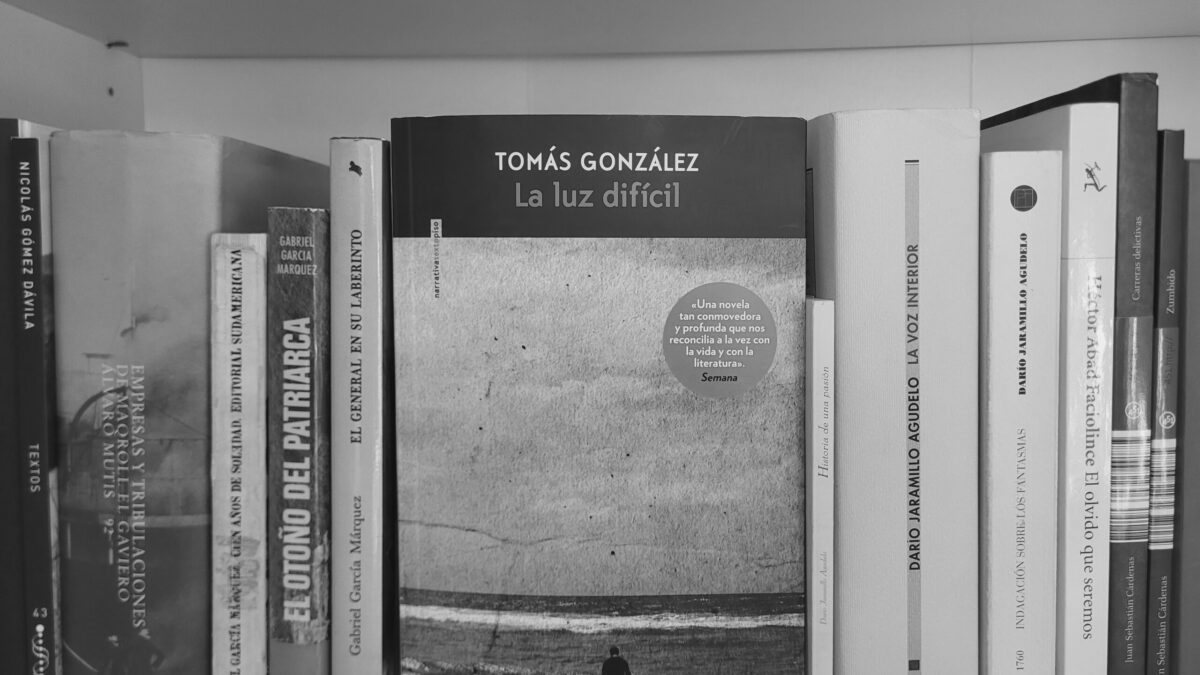 ‘La luz difícil’ de Tomás González