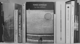 'La luz difícil' de Tomás González