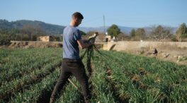 Un informe de la UE pide a los gobiernos apoyo financiero para los jóvenes en el sector agrícola