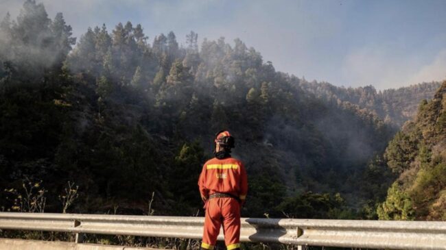 Declarada la alerta por riesgo de incendios forestales