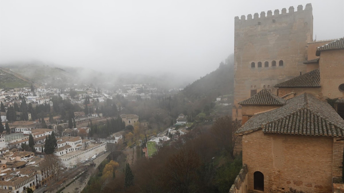 En la UCI una turista menor de edad por la caída de una rama en los jardines de la Alhambra