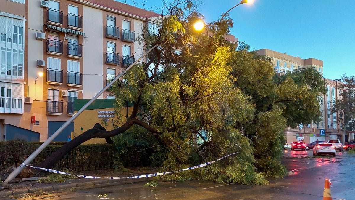 El paso de la borrasca Bernard por Andalucía: un muerto en Huelva y 1.500 incidencias