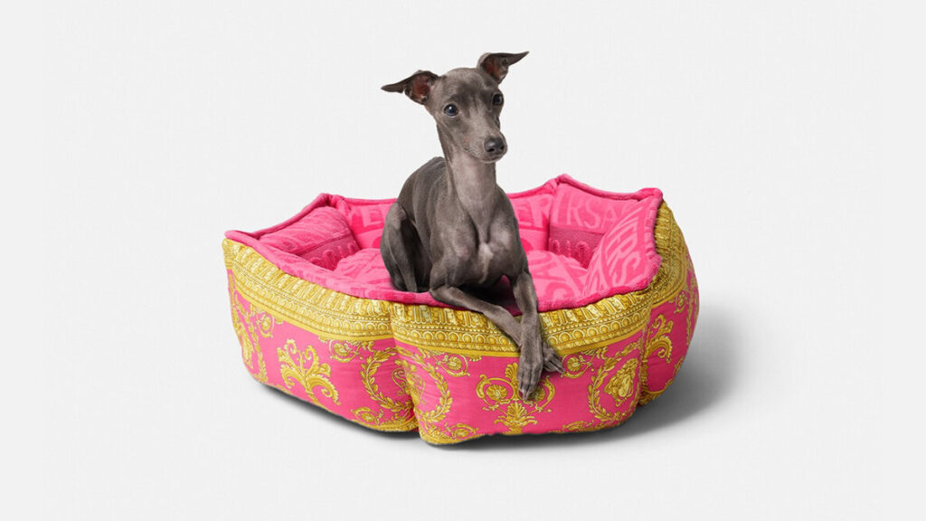 Cama rosa y dorada para mascotas de Versace
