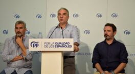 El PP teme que Sánchez «utilice» al Congreso y al TC para llegar de nuevo a la Moncloa