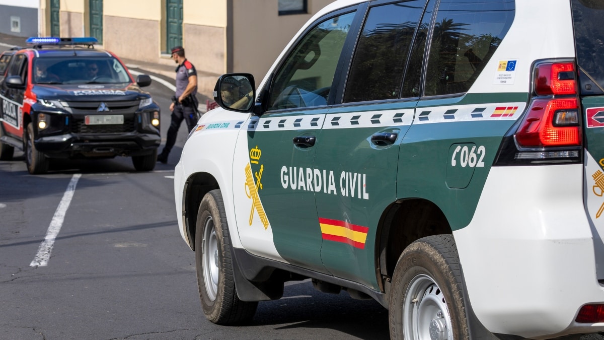 Un detenido como presunto autor del homicidio de una mujer en Pelahustán (Toledo)