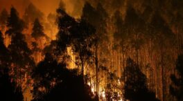 Continúan activos los incendios en Vilariño de Conso (Orense) y en Foz (Lugo)