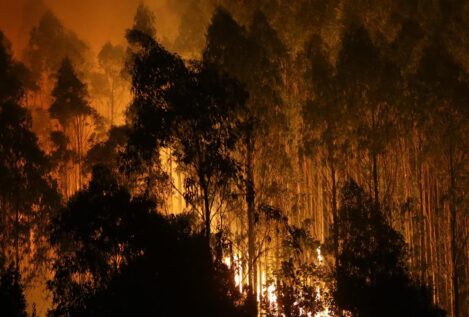 Continúan activos los incendios en Vilariño de Conso (Orense) y en Foz (Lugo)
