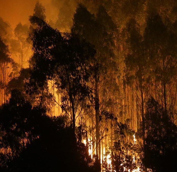 Continúan activos los incendios en Vilariño de Conso (Orense) y en Foz (Lugo)