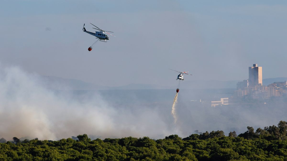 Un incendio forestal en El Saler (Valencia) obliga a evacuar un albergue y cortar una carretera