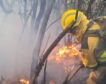El Gobierno de Canarias eleva el nivel del incendio de Tenerife para incorporar a la UME