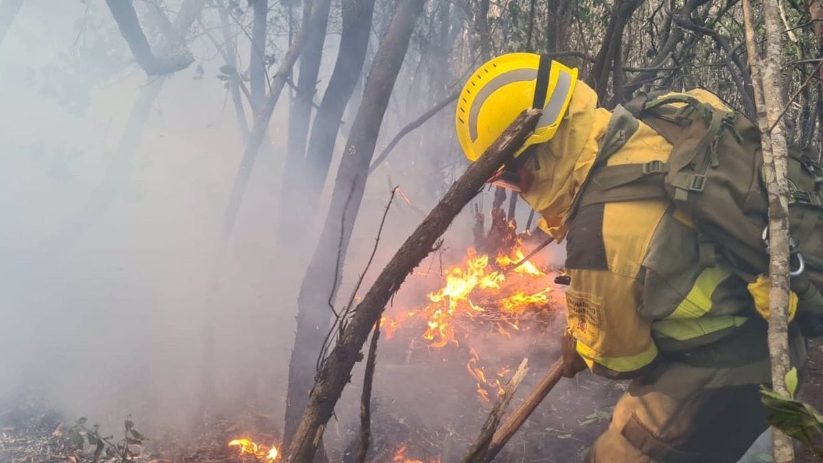 El Gobierno de Canarias eleva el nivel del incendio de Tenerife para incorporar a la UME