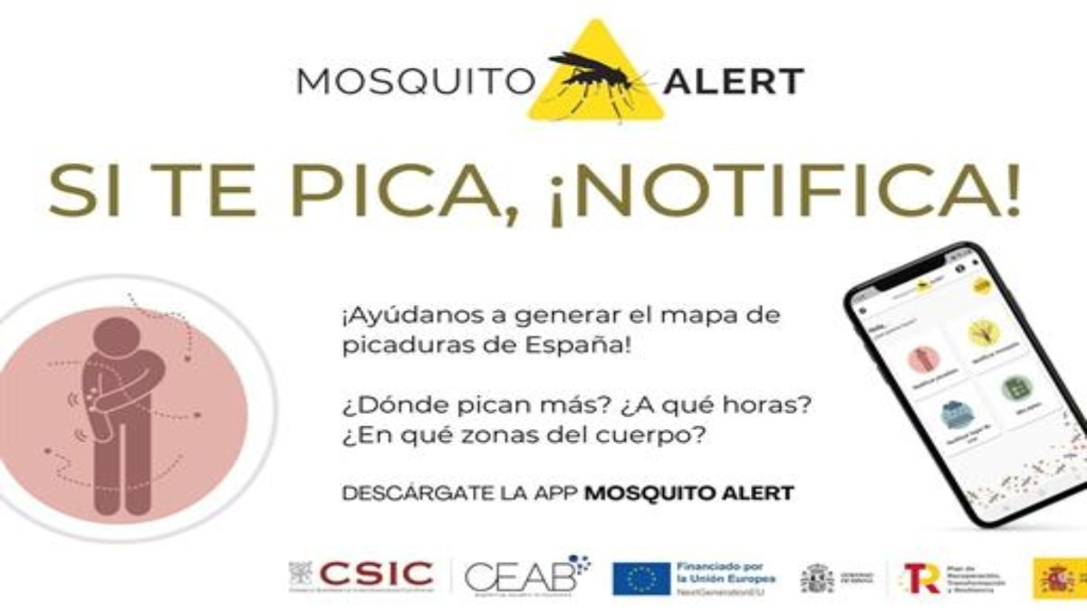 Sanidad se gasta un millón de euros en una ‘app’ para notificar picaduras de mosquito tigre
