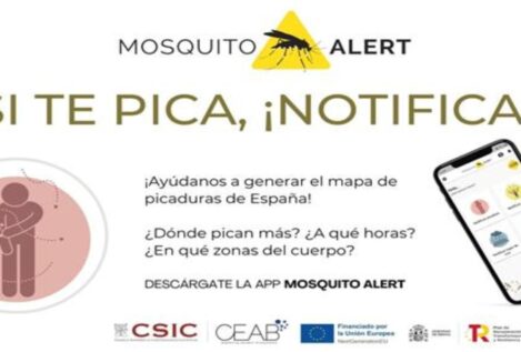Sanidad se gasta un millón de euros en una 'app' para notificar picaduras de mosquito tigre