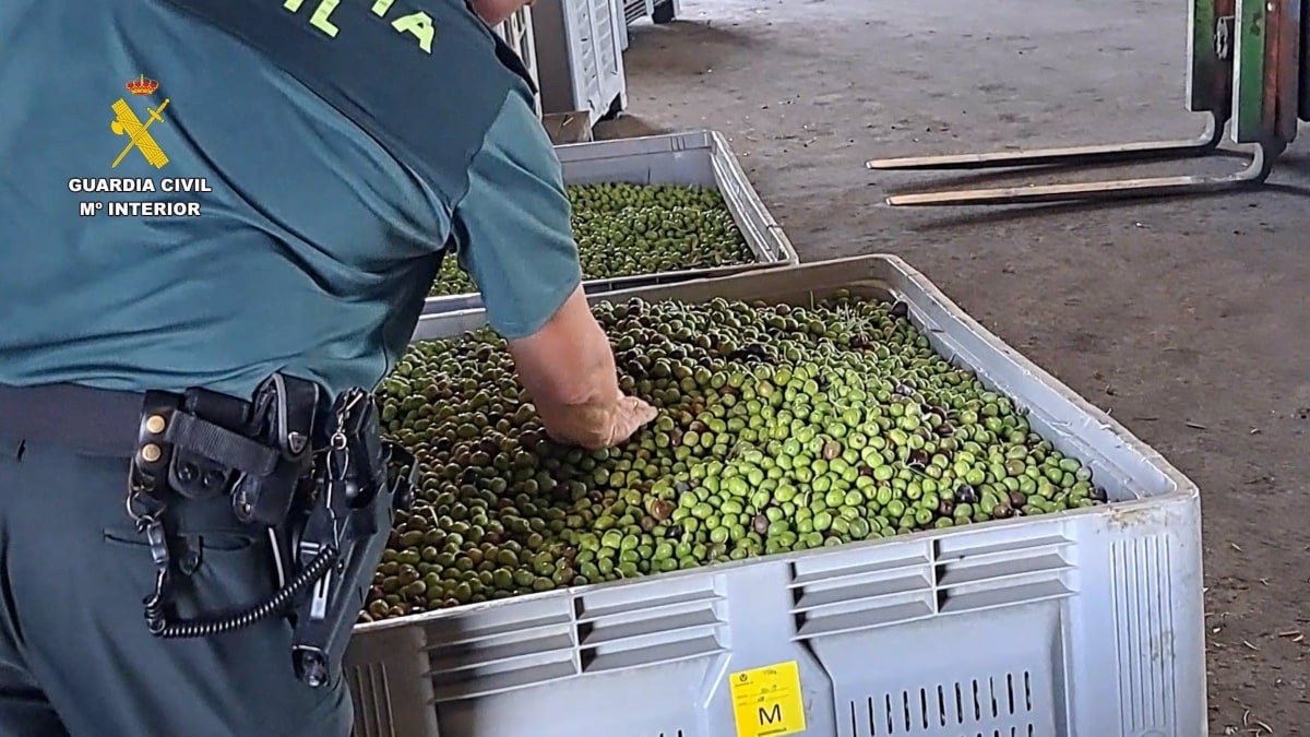 Intervenidos en Sevilla 400 litros de aceite con etiquetado falso