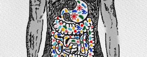 Qué es el SIBO, el trastorno intestinal que han popularizado las redes sociales